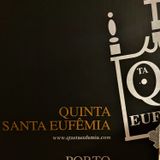 quinta carton 